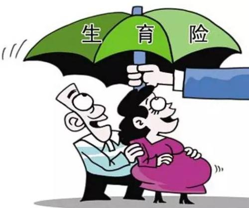 女性生育保險能報多少錢？ 第1張