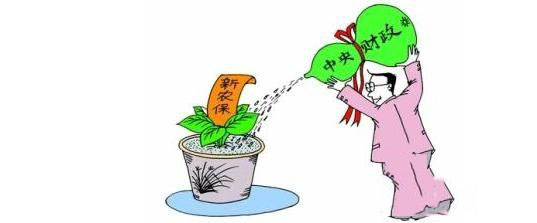 新農保怎么繳費？ 第1張