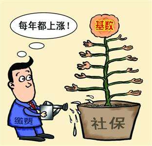 個人和單位繳納的社保，待遇會有什么區別？ 第1張