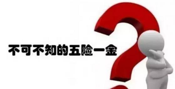 五險一金好還是社保好? 第1張 五險一金好還是社保好? 第1張