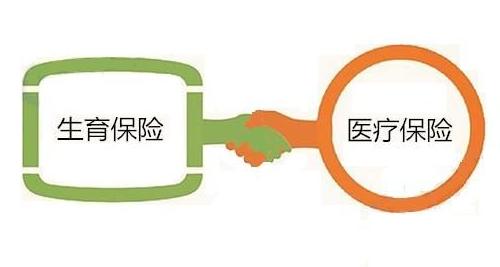 生育保險與醫療保險的聯系與區別 第1張 生育保險與醫療保險的聯系與區別 第1張