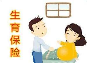 職工參加生育保險可以享受哪些待遇？ 第1張